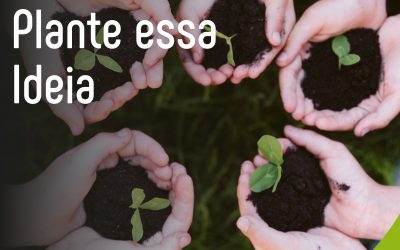 Ação Plante essa Ideia reforça o compromisso da Credi com a sustentabilidade🌱