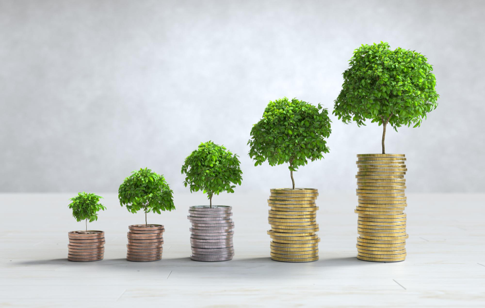 Como Investir em Anúncios Sem Jogar Dinheiro Fora