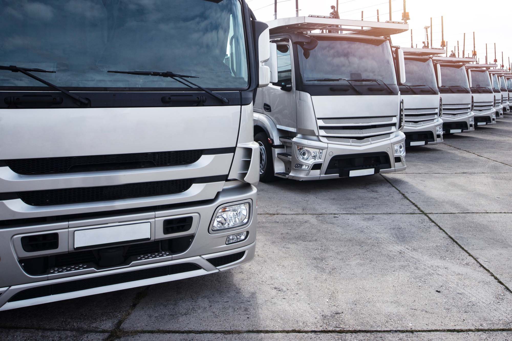 Criação de site para transportadora
